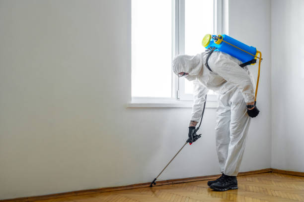 Best Emergency Pest Control  in Nolensville, TN